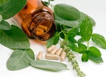 Herbal Food Supplements