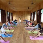 Yoga Teacher Training