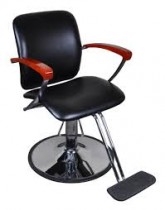 Salon Chair