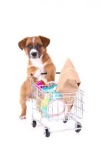 Pet Care Products