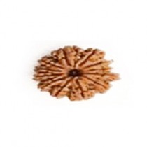 Rudraksha Beads