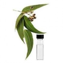 Eucalyptus Oil