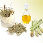 Lemongrass Oil