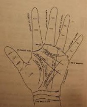 Palmistry