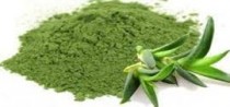 Aloe Vera Powder