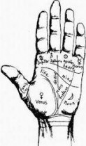 Palmistry