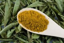 Curry Leaves Powder