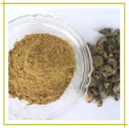 Amla Powder