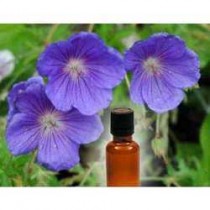 Geranium Oil