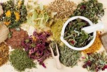 Medicinal Herbs