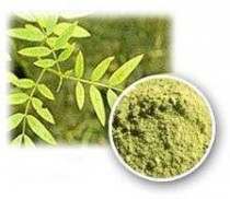 SONAMUKHI OR SENNA LEAFS POWDER