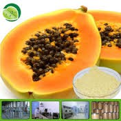 Aryan's Papaya  Leaf Powder