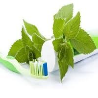 Herbal Toothpaste