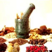 Herbal Medicines