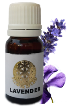 Lavender Essential Oil