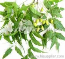 Herbal Neem Capsules