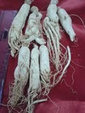 GINSENG ROOTS KOREAN