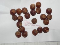 Soap Nuts (Ritha)