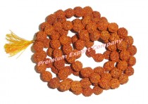 Panch Mukhi Rudraksha Beads & Mala (NTWDRUD-003)