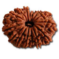 Rudraksha Beads