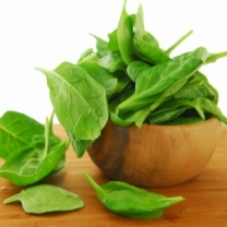 Spinach Extract Powder