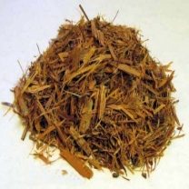 Catuaba Extract