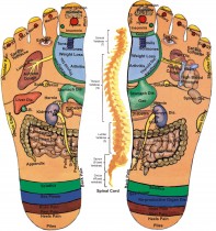 DIPLOMA IN ACUPRESSURE THERAPY (D.A.T.)