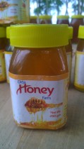 Jandi Tree Flowers Honey