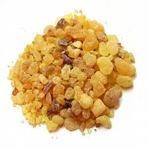 Boswellia Serrata Gum Extract