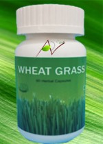 Wheat Grass