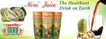 Apollo Noni Juice Manufacturer and MLM Product Suppliers, India