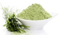 Wheat Grass Powder