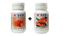 Reish Gano (RG) + Ganocelium (GL) capsules