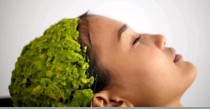 Herbal Anti Hairfall Treatment