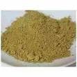 Moringa Fruit Powder