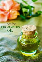 Eucalyptus oil