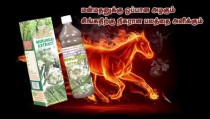 MURUNGAI EXTRACT - MALE TONIC