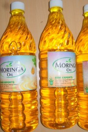 MORINGA OIL