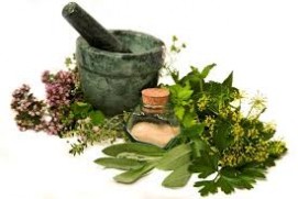 Medicinal herbs