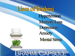 Herbal Capsules