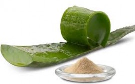 Aloe Vera Powder