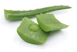 Aloe Vera Capsules