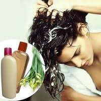 Herbal Hair Care Products