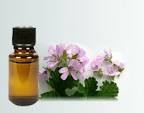 Geranium oil