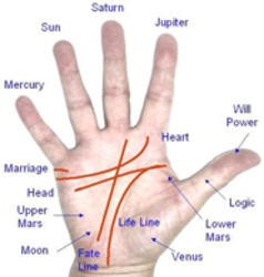 Palmistry