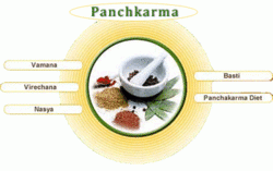 Panchkarma Therapy