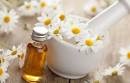 Chamomile Oil