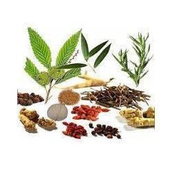 Herbal Extracts