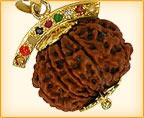 Rudraksha Pendants