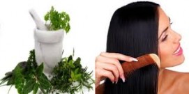 Herbal Hair Care Products